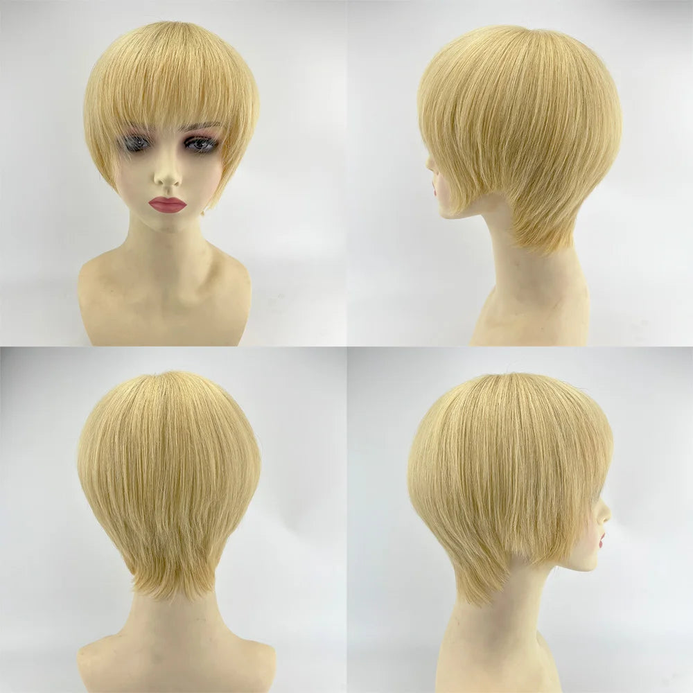 Human Hair Wig